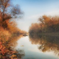 Тишина :: Ирина 