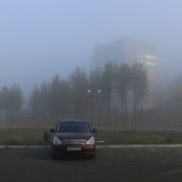 В тумане :: Ольга В тумане :: Ольга