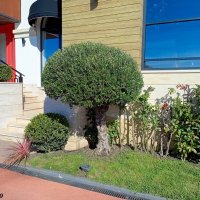 Адлер. Имеретинская (Олимпийская) набережная :: Нина Бутко Адлер. Имеретинская (Олимпийская) набережная :: Нина Бутко