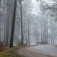 Декабрь в Беларуси. Бобруйск. Санаторий "Шинник" :: Андрей Андрианов Декабрь в Беларуси. Бобруйск. Санаторий "Шинник" :: Андрей Андрианов