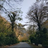 АБХАЗИЯ :: Tata Wolf