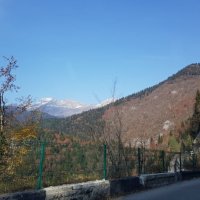 АБХАЗИЯ :: Tata Wolf