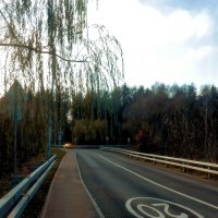 Осень заканчивает свой путь. :: Татьяна Помогалова