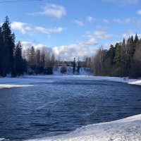 Прекрасная погода :: Ольга Савельева 