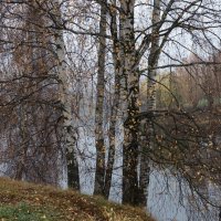 ** :: Владимир Безбородов