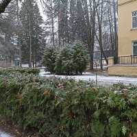 Первый снег. Зеленогорск. Ленинградская область. :: Лилия *