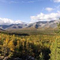 **** :: Алексей Соловьев