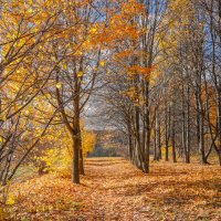 Октябрь в Царицыно... :: Владимир Жданов