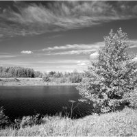 Летний этюд :: Валентин Котляров