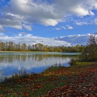 А что будет завтра? А завтра — зима!... :: Галина 