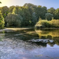 Парк Покровское-Стрешнево :: Денис Масленников