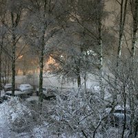 Ноябрь из окна :: Наталья Герасимова