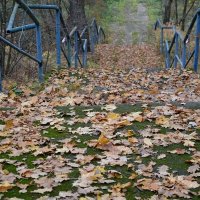 Последний день в ноябре... :: Михаил Столяров