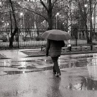 Вчерашний дождь :: Наталья Герасимова