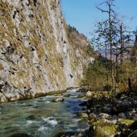 АБХАЗИЯ :: Tata Wolf АБХАЗИЯ :: Tata Wolf