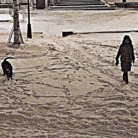 С утренней прогулки с любимым псом! :: Владимир