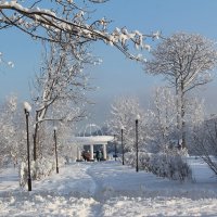 а погода зимняя :: Александр Белов