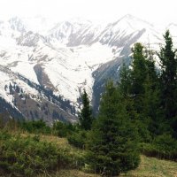 Пасмурно и туманно в горах :: Галина Ильясова