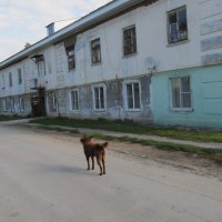 посёлок Калиново на оэ. Таватуй :: Елена Шаламова посёлок Калиново на оэ. Таватуй :: Елена Шаламова