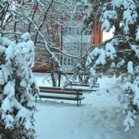 Зимой в с.Заворово :: Елена Семигина Зимой в с.Заворово :: Елена Семигина