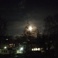 *** :: Валентина Береснева