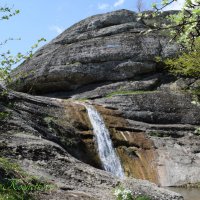 Природа Крыма :: Amazing Cosmea
