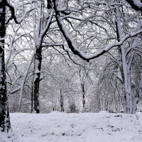 Первый снег :: Рита Симонова
