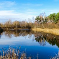 Осень во второй половине ноября. :: Милешкин Владимир Алексеевич 