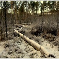 *** :: Aleksandr Gal