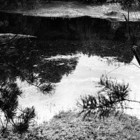 Фотография :: Денис Безногов