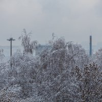 Снежно :: Александр Синдерёв