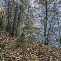 Осень. :: Александр Иванович Шитов