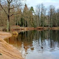 С головой ушёл в работу! :: Лия ☼