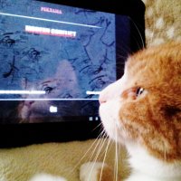 заинтересован :: Владимир