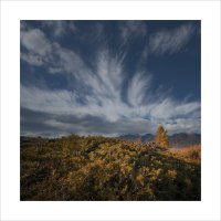 * :: Александр Иванов