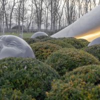 *** :: Игорь Протасов