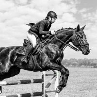 Конкур :: SanSan 