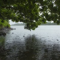 Дождь. :: Александр 