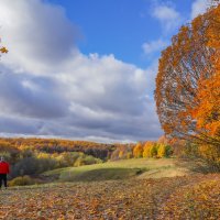 Октябрь в Царицыно... :: Владимир Жданов