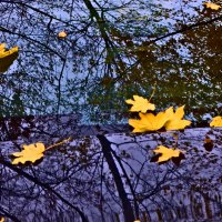 Осень 66 :: Алексей Кузнецов