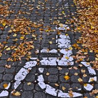 Осень 69 :: Алексей Кузнецов