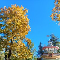 Осень :: Сапсан 