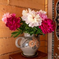 Пионы. :: Андрей Дурапов