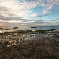 *** :: алексей афанасьев