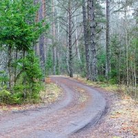 Таким был 1-й день зимы (температура воздуха 0° - +1°). :: Милешкин Владимир Алексеевич 