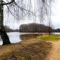 Природа Смоленщины за два дня до календарной зимы. :: Милешкин Владимир Алексеевич 