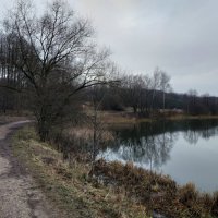 Последний день Осени-2025 :: Андрей Лукьянов