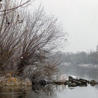 р. Нарев :: Светлана Ищенко р. Нарев :: Светлана Ищенко