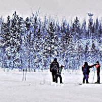 Декабрь..Ребята на лыжной тренировке! :: Владимир 