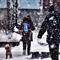 В снегопад с папой и песиком в школу! :: Владимир 